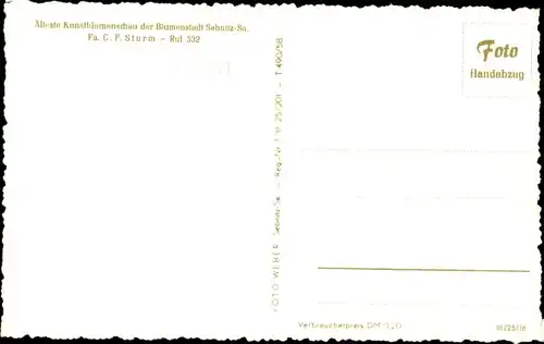 Ak Sebnitz Sächsische Schweiz, Älteste Kunstblumenschau, Firma C. F. Sturm