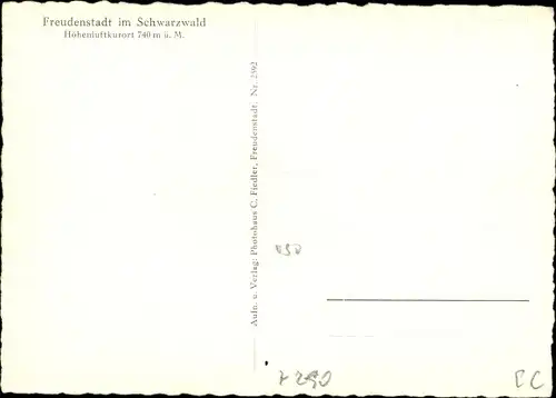 Ak Freudenstadt im Schwarzwald, Panorama