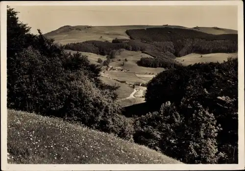 Ak Abtsroda Poppenhausen an der Wasserkuppe Rhön, Panorama