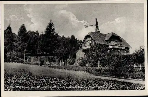 Ak Wienrode Blankenburg am Harz, Pension Waldesruh