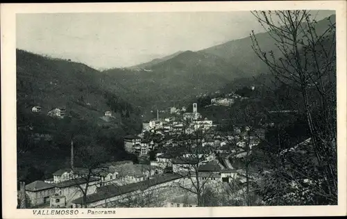 Ak Valle Mosso Piemonte, Panorama