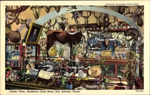 Ak San Antonio Texas USA, Buckhorn-Curio-Store