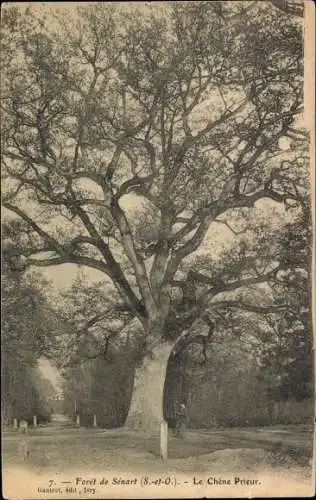 Ak Wald von Sénart Essonne, Le Chene Prieur