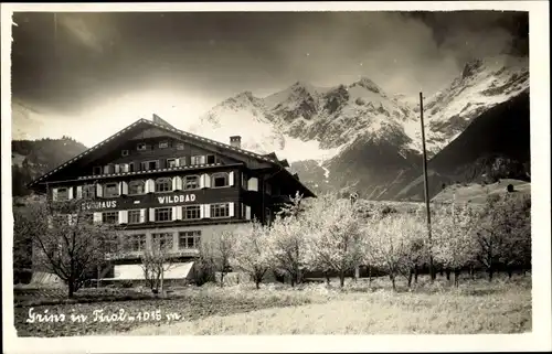 Ak Grins in Tirol, Haus WIldbad, Gebirge