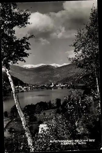 Ak Feld am See Kärnten, Panorama