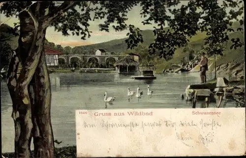 Ak Bad Wildbad im Schwarzwald, Schwanensee, Brücke