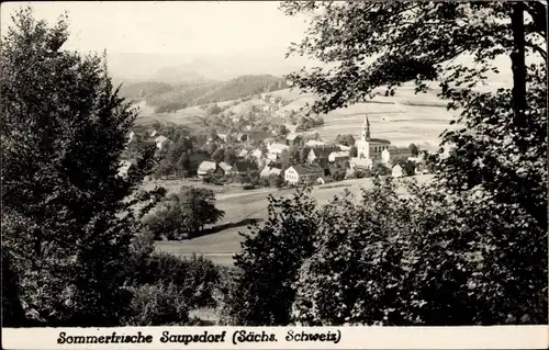 Ak Saupsdorf Sebnitz Sächsische Schweiz, Ortsansicht