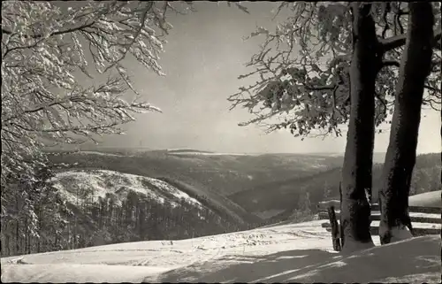 Ak Frauenwald am Rennsteig Ilmenau in Thüringen, Panorama, Winteransicht