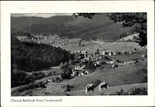 Ak Obertal Buhlbach Baiersbronn Schwarzwald, Panorama, Rinder