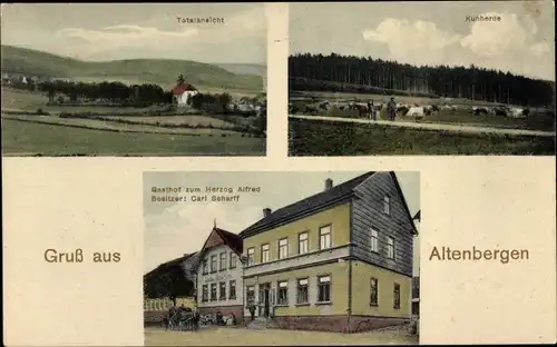 Ak Altenbergen Georgenthal in Thüringen, Gesamtansicht, Gasthof zum Herzog Alfred, Kuhherde