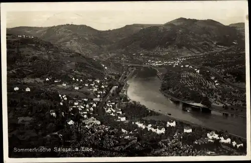 Ak Dolní Zálezly Salesel Elbe Region Aussig, Vogelschau
