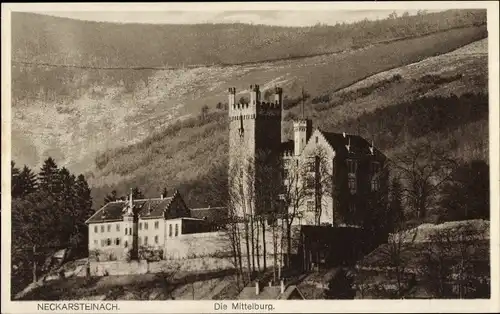 Ak Neckarsteinach in Hessen, Mittelburg