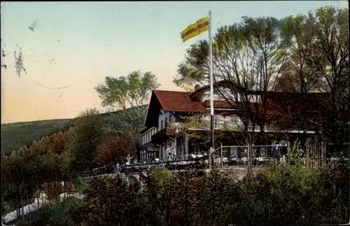 Ak Heidelberg am Neckar, Molkenkur, Flagge