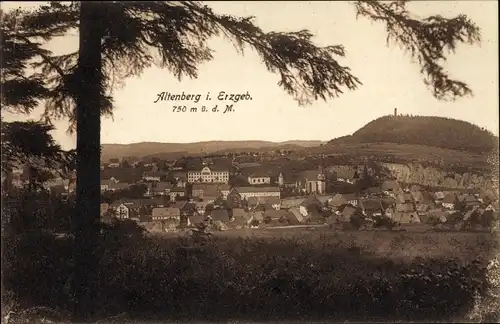 Ak Altenberg im Erzgebirge, Gesamtansicht