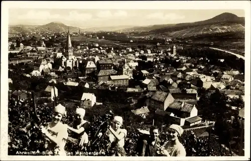 Ak Ahrweiler an der Ahr, Blick aus den Weinbergen