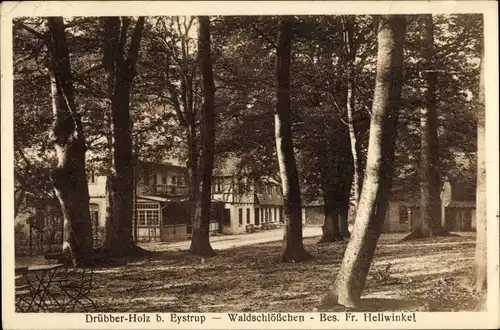 Ak Eystrup Drübber Holz Niedersachsen, Waldschlößchen, Bes. Fr. Hellwinkel