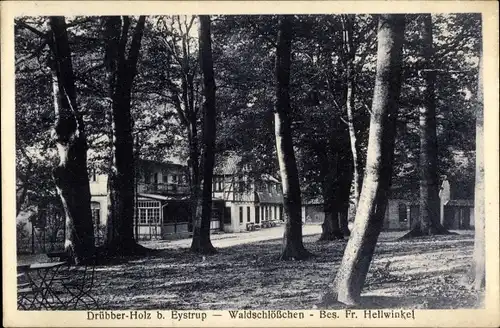 Ak Eystrup Drübber Holz Niedersachsen, Waldschlößchen, Bes. Fr. Hellwinkel