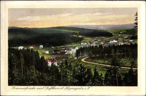 Ak Jägersgrün Muldenhammer im Vogtland, Panorama
