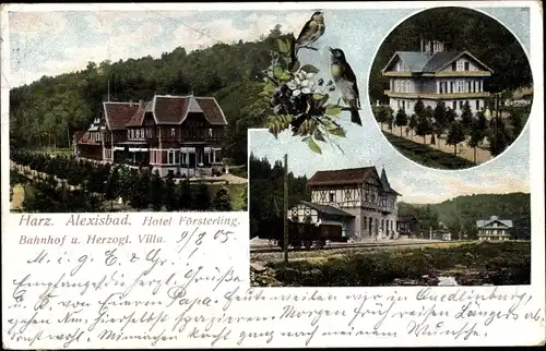 Ak Alexisbad Harzgerode, Hotel Försterling, Bahnhof, Gleisseite, Herzogl. Villa