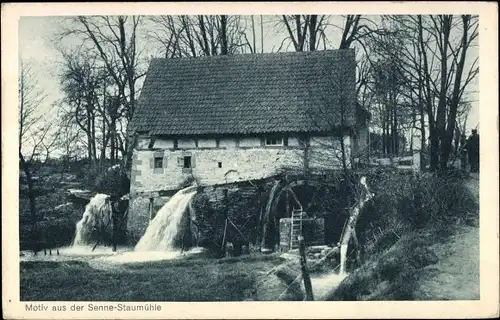 Ak Senne Paderborn, Motiv aus der Staumühle, Wassermühle