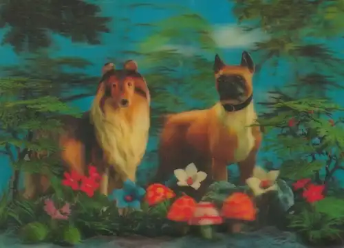 3-D Ak Hunde, Tierportrait, Pilze, Blumen, Windhund
