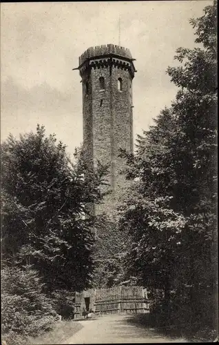 Ak Heidelberg am Neckar, Königstuhl