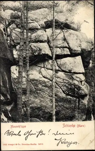 Ak Schierke Wernigerode im Harz, Mauseklippe