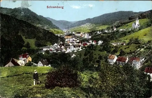 Ak Schramberg im Schwarzwald, Panorama