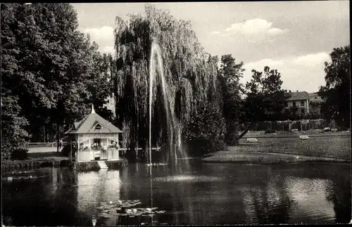 Ak Bad Salzschlirf in Hessen, Kurpark, Springbrunnen