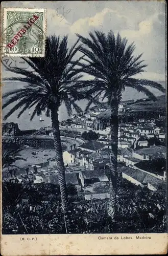 Ak Câmara de Lobos Insel Madeira Portugal, Panorama mit Palmen