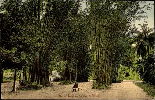 Ak Rio de Janeiro Brasilien, Jardim Botanico