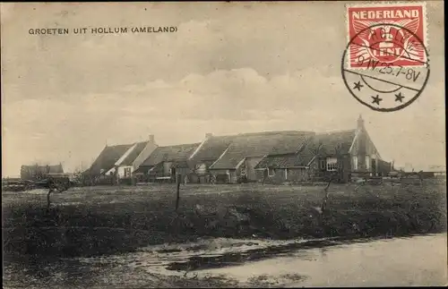 Ak Hollum Ameland Friesland Niederlande, Ortsansicht