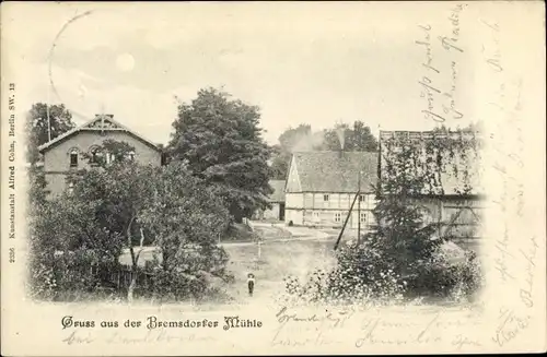 Ak  Bremsdorfer Mühle Schlaubetal, Ortsansicht