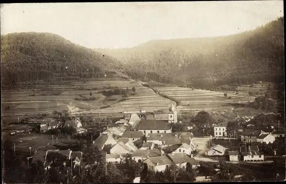 Foto Ak Luvigny Vosges, Panorama vom Ort