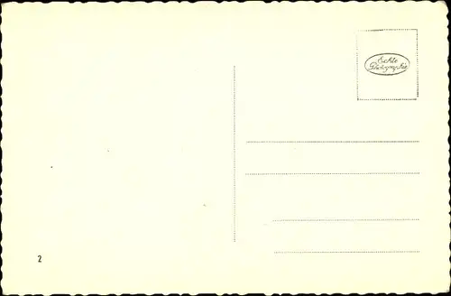 Ak Wien 1 Innere Stadt, Panorama, Domkirche