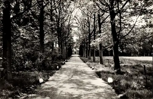 Ak Lunteren Ede Gelderland, Ons Landhuis, Allee