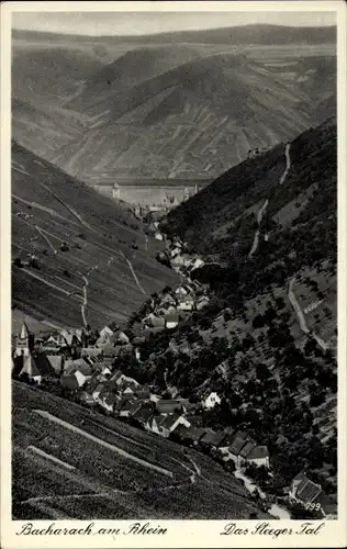 Ak Bacharach am Rhein, Steeger Tal