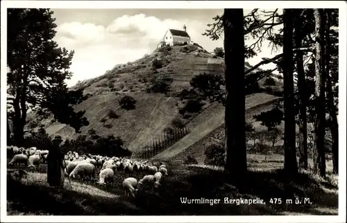 Ak Wurmlingen Rottenburg am Necker Baden Württemberg, Bergkapelle, Schafe