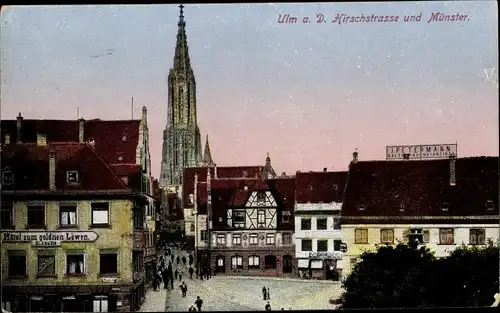 Ak Ulm an der Donau, Hirschstraße, Münster, Hotel zum goldenen Löwen