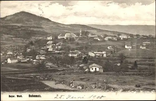 Ak Bodenmais in Niederbayern, Bayrischer Wald, Panorama