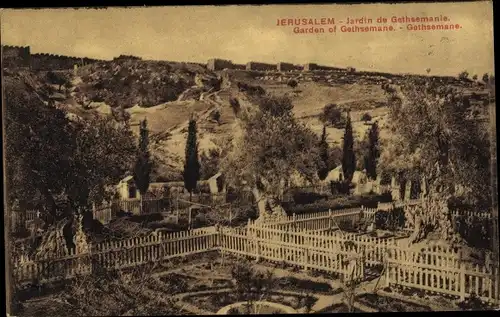Ak Jerusalem Israel, Garten Gethsemane
