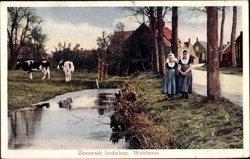 Ak Walcheren Zeeland, Zeeuwsch landschap, Mädchen in Tracht