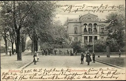 Ak Hameln in Niedersachsen, Kastanienallee