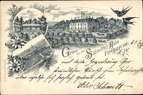 Litho Bubendorf Frohburg in Sachsen, Schmitten-Höhe, Schwalben