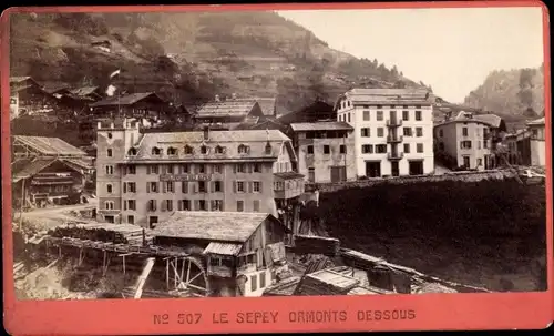 CDV Le Sepey Kanton Waadt, Teilansicht, Hotel des Alpes, 1873