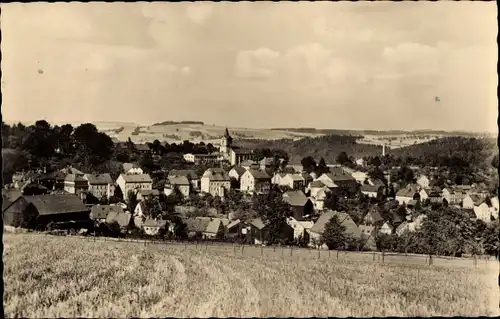 Ak Grünhainichen im Erzgebirge, Panorama