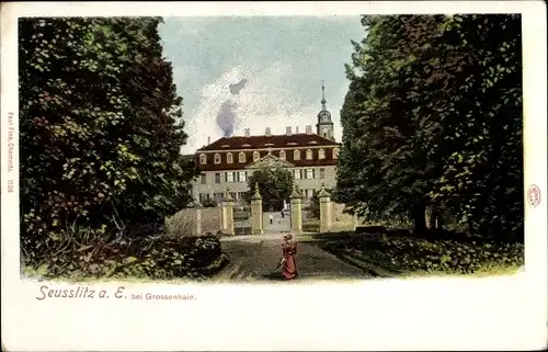 Ak Seußlitz Nünchritz an der Elbe, Schloss