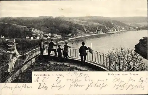 Ak Seußlitz Nünchritz an der Elbe, Blick vom bösen Bruder