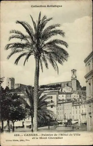 Ak Cannes Alpes Maritimes, Palme, Rathaus, Mont Chevalier