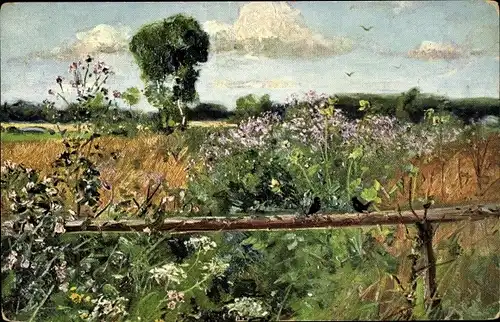 Künstler Ak Landschaft mit Blumenwiese